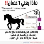 Mbsmgroup_Tunisie_Private_PicturesMbsmgroup_Tunisie_Private_Pictures_horse_power-150x150 الأرشيف