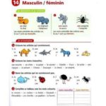 Mbsmgroup_Tunisie_Private_Pictures_francais_doc-12-150x150 تمارين تعليمية بالفرنسية الأثنى والمذكر