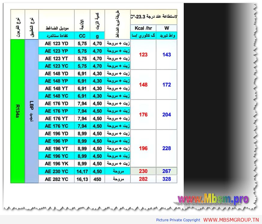 Mbsm-tn-private-media_arcelik-2024-11-21_080832 Türk Elektrik Endüstrisi