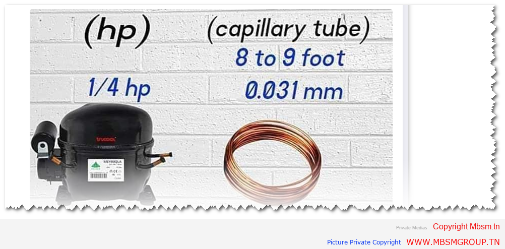 Mbsm-tn-private-media_image-24 capillary